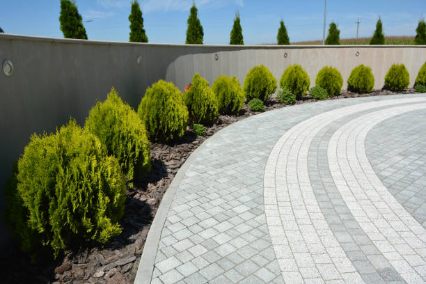 Professional Driveway Pavers in Chrisman, IL