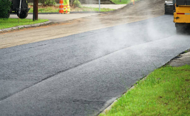 Best Driveway Paver Repair  in Chrisman, IL